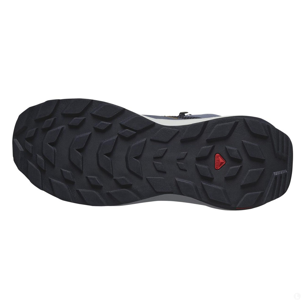 Треккинговые ботинки мужские Salomon Elixir Mid GTX 