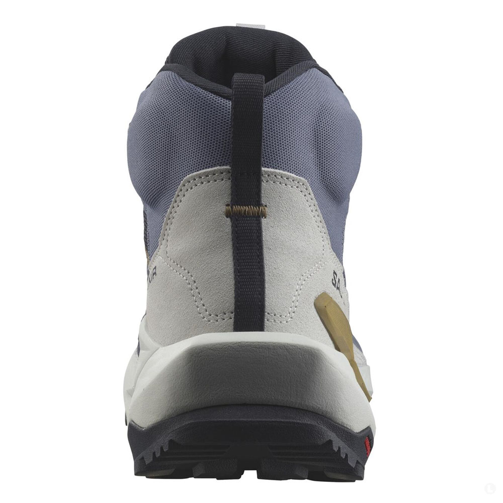 Треккинговые ботинки мужские Salomon Elixir Mid GTX 