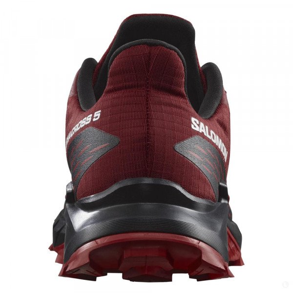 Треккинговые кроссовки мужские Salomon Alphacross 5