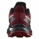 Треккинговые кроссовки мужские Salomon Alphacross 5