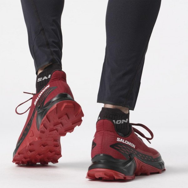 Треккинговые кроссовки мужские Salomon Alphacross 5