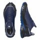 Треккинговые кроссовки мужские Salomon Alphacross 5 gtx