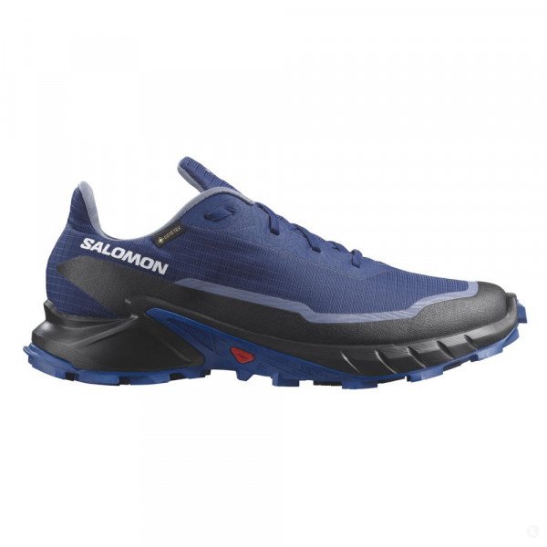 Треккинговые кроссовки мужские Salomon Alphacross 5 gtx