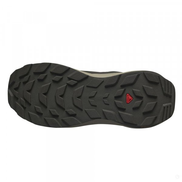 Треккинговые кроссовки мужские Salomon Elixir GTX 