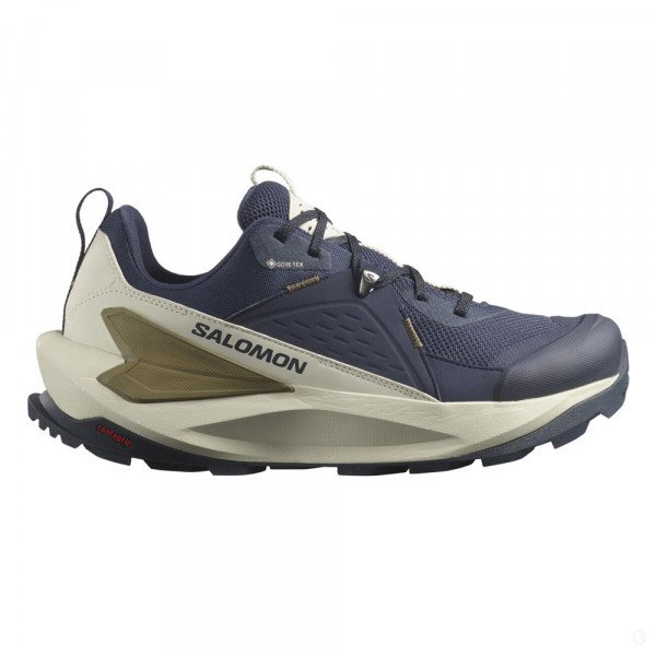 Треккинговые кроссовки мужские Salomon Elixir GTX 