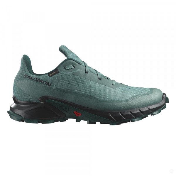 Треккинговые кроссовки мужские Salomon Alphacross 5 gtx