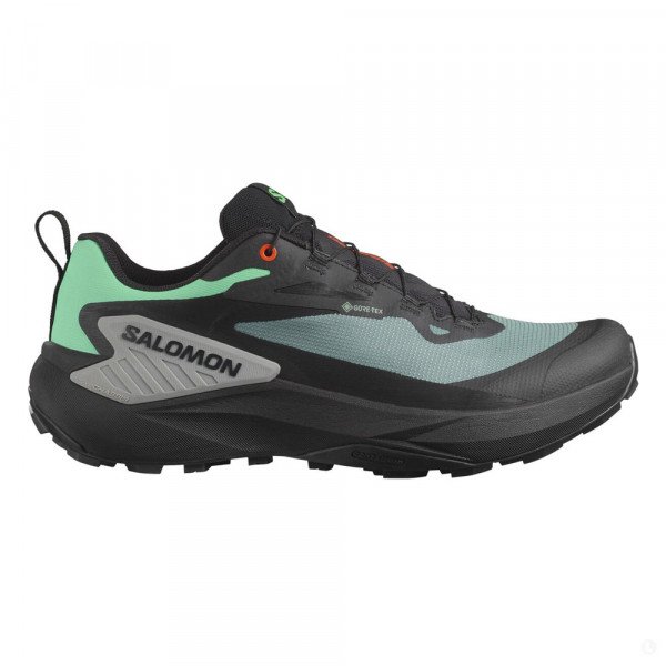 Треккинговые кроссовки мужские Salomon Genesis GTX