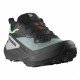 Треккинговые кроссовки мужские Salomon Genesis GTX