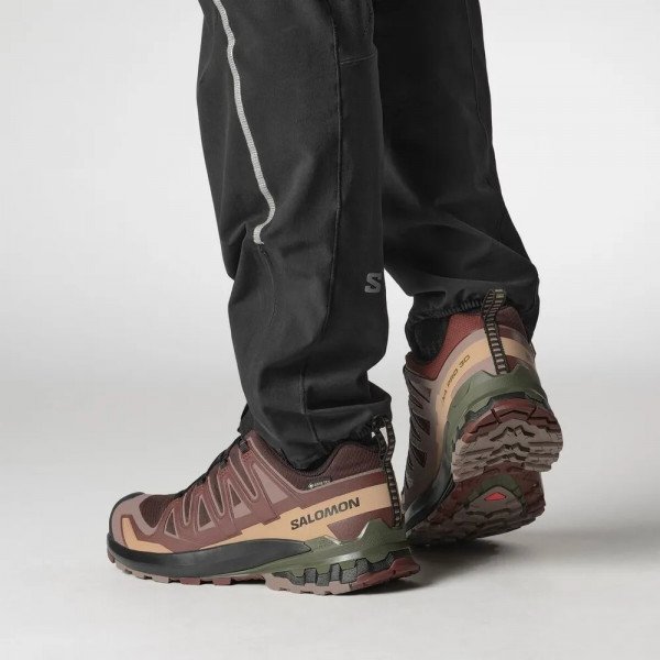 Треккинговые кроссовки мужские Salomon Xa Pro 3D V9 GTX
