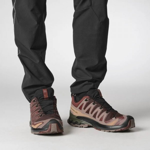 Треккинговые кроссовки мужские Salomon Xa Pro 3D V9 GTX