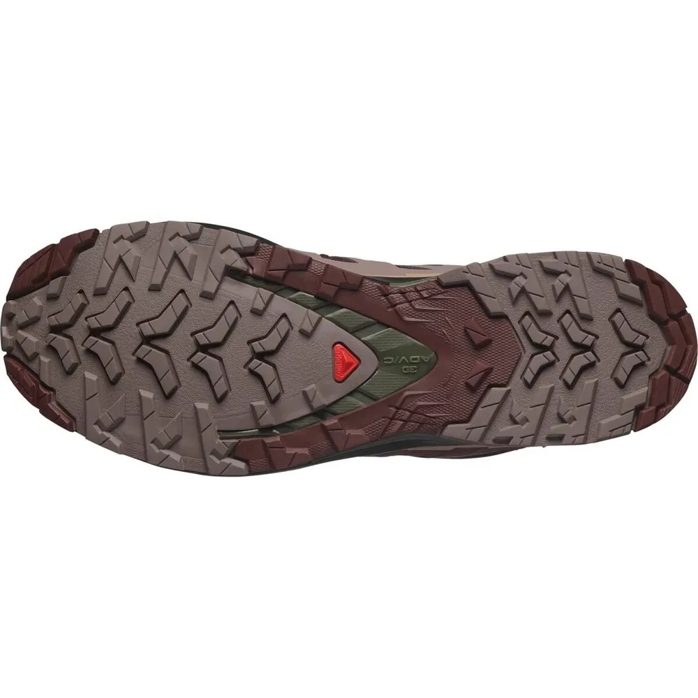 Треккинговые кроссовки мужские Salomon Xa Pro 3D V9 GTX