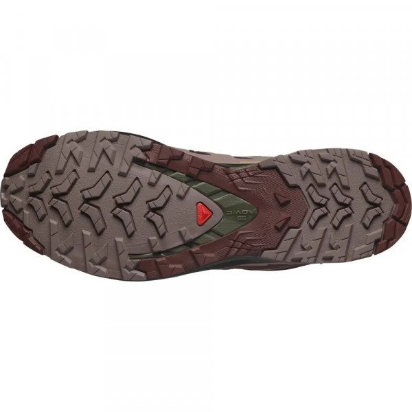 Треккинговые кроссовки мужские Salomon Xa Pro 3D V9 GTX