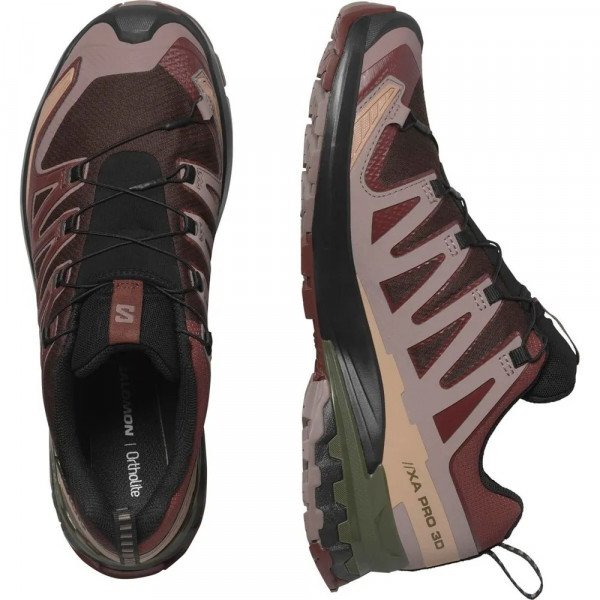 Треккинговые кроссовки мужские Salomon Xa Pro 3D V9 GTX