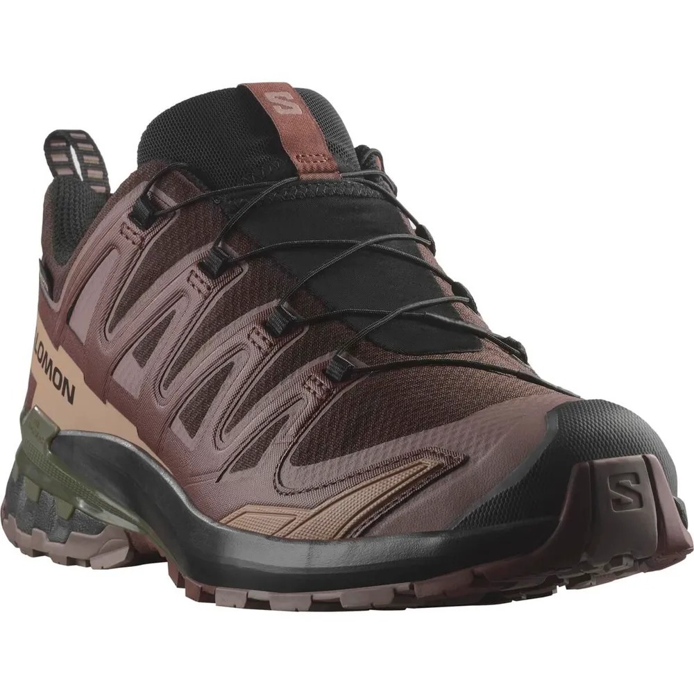 Треккинговые кроссовки мужские Salomon Xa Pro 3D V9 GTX