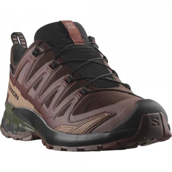 Треккинговые кроссовки мужские Salomon Xa Pro 3D V9 GTX