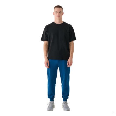 Спортивные брюки мужские 4F Sportstyle Спортивные брюки мужские 4F Sportstyle
