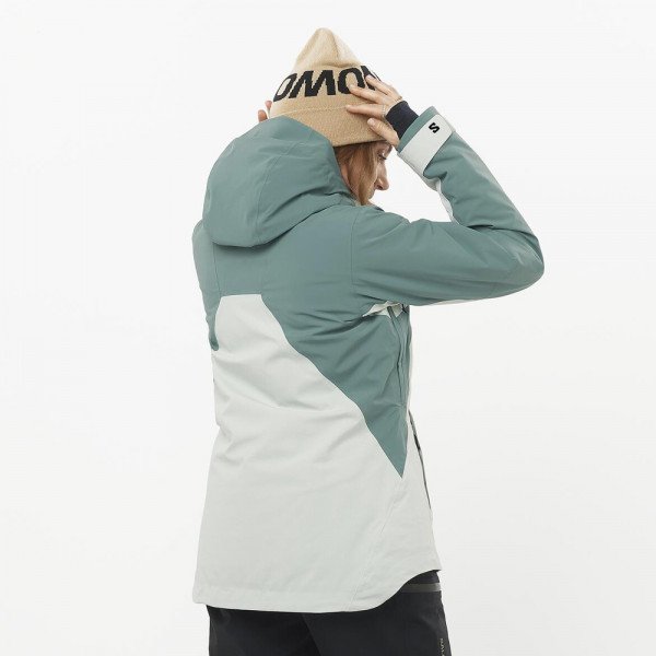 Горнолыжная куртка женская Salomon Brilliant Горнолыжная куртка женская Salomon Brilliant