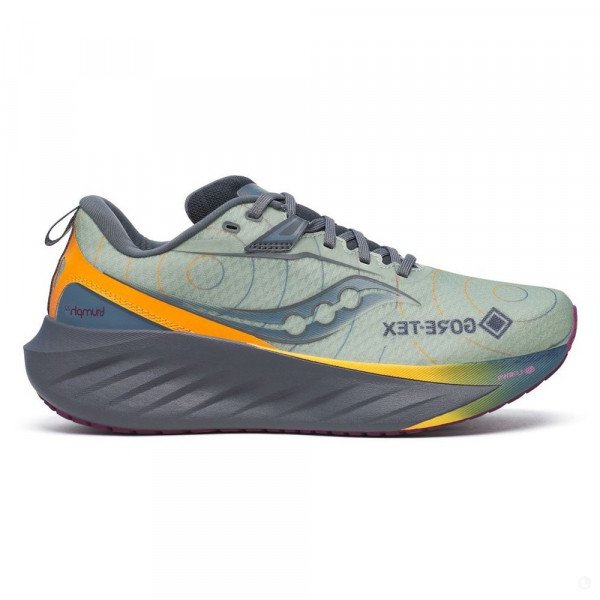 Кроссовки мужские Saucony Triumph 22 gtx 