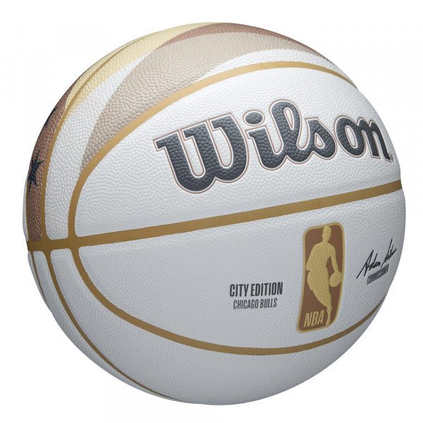 Мяч баскетбольный Wilson NBA Team City Collector Chicago Bulls 