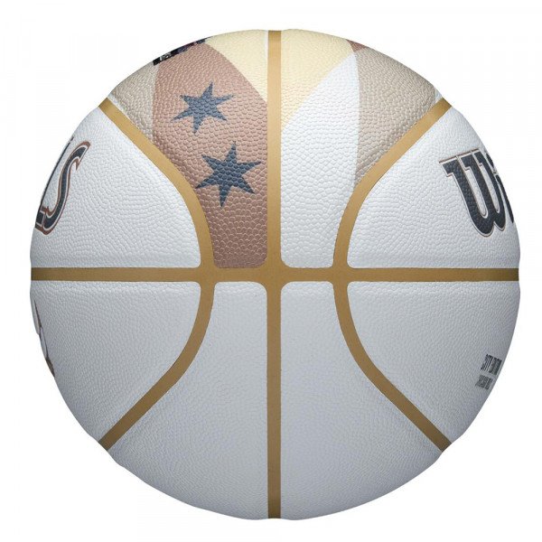 Мяч баскетбольный Wilson NBA Team City Collector Chicago Bulls 