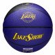 Мяч баскетбольный Wilson NBA Team City Collector LA Lakers 