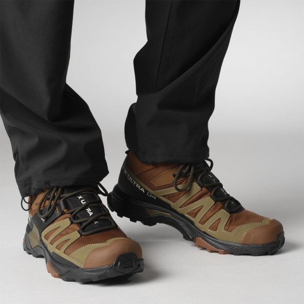 Треккинговые ботинки мужские Salomon X ultra 4 mid gtx