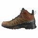 Треккинговые ботинки мужские Salomon X ultra 4 mid gtx