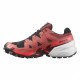 Треккинговые кроссовки Salomon Spikecross 6 Gtx