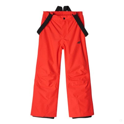 Брюки горнолыжные детские 4F B Skiing Брюки горнолыжные детские 4F B Skiing