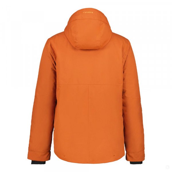 Куртка горнолыжная мужская Icepeak Chester