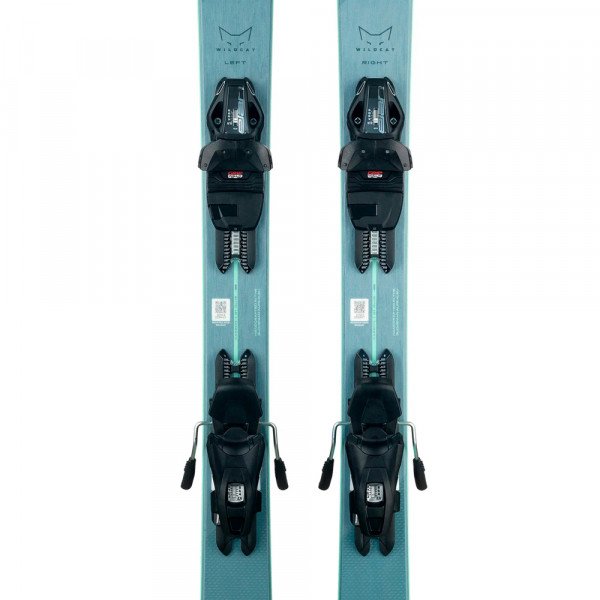 Лыжи горные Elan WildcatIL 76 C Ls + El 9.0 Gw