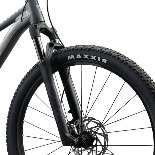 Горный велосипед Giant Talon 29 1 - 2025 