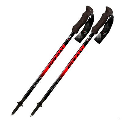Треккинговые палки Fizan Compact 3 Треккинговые палки Fizan Compact 3