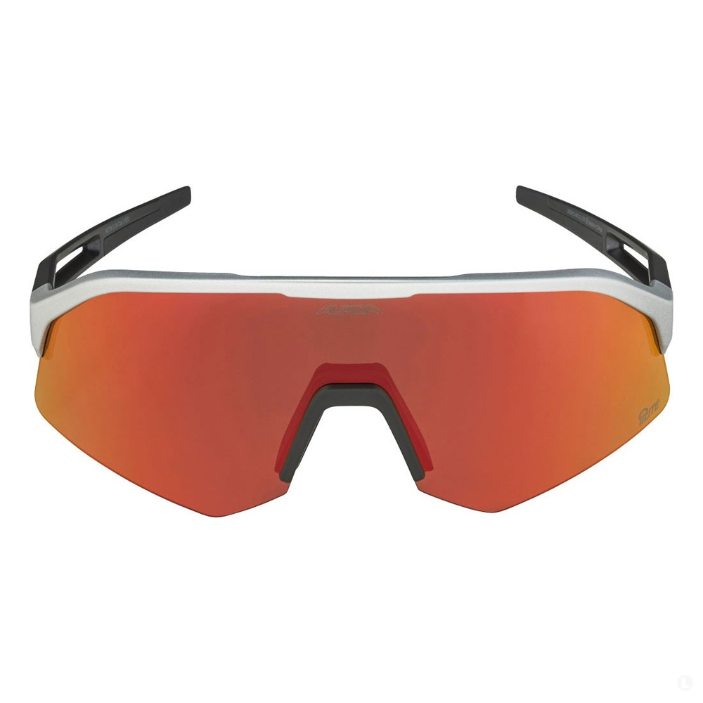 Очки солнцезащитные Alpina Sonic HR