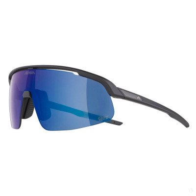 Очки солнцезащитные Alpina Turbo Pro