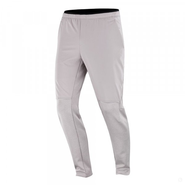 Брюки мужские Salomon Runlife