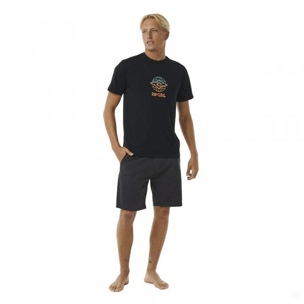 Футболка мужская Rip Curl Swc globe