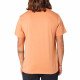 Футболка мужская Rip Curl Desti Animals