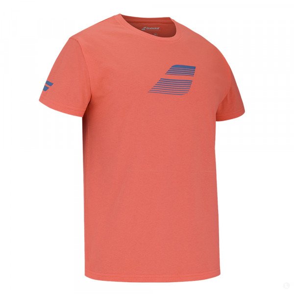 Футболка мужская Babolat Exercise Big Flag Tee 