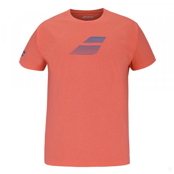 Футболка мужская Babolat Exercise Big Flag Tee 