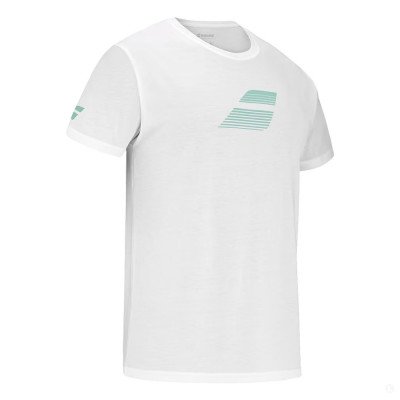 Футболка мужская Babolat Exercise Big Flag Tee  Футболка мужская Babolat Exercise Big Flag Tee