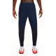 Спортивные брюки мужские Nike Dfadv aroswft pant 