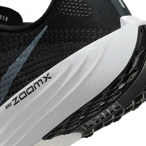 Кроссовки для бега мужские Nike Pegasus plus 