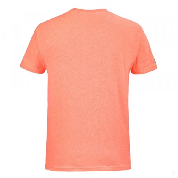 Футболка мужская Babolat Exercise Big Flag Tee 