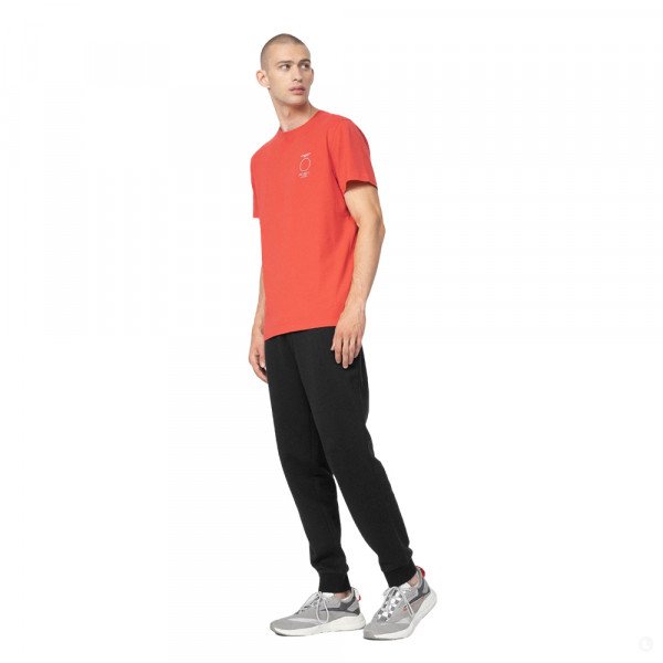 Спортивные брюки мужские 4F joggers sweatpants Спортивные брюки мужские 4F joggers sweatpants