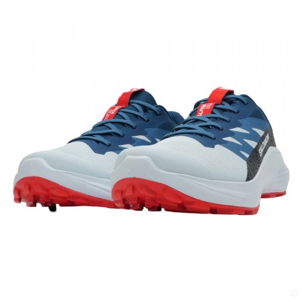 Кроссовки для бега мужские Salomon Alphaglide 
