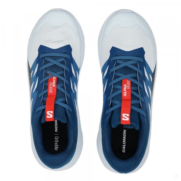 Кроссовки для бега мужские Salomon Alphaglide 