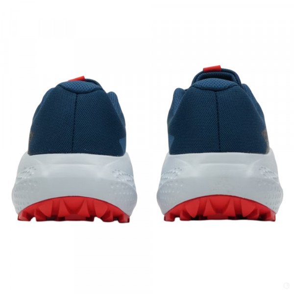 Кроссовки для бега мужские Salomon Alphaglide 