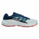 Кроссовки для бега мужские Salomon Alphaglide 