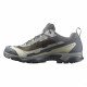 Треккинговые кроссовки мужские Salomon X ultra 5 